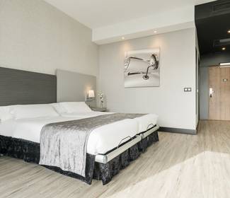 Barrierefreie zimmer Hotel ILUNION Atrium Madrid